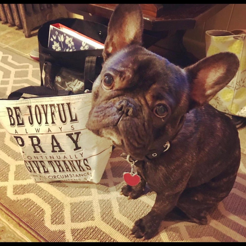 Meet your Posher, Jenny